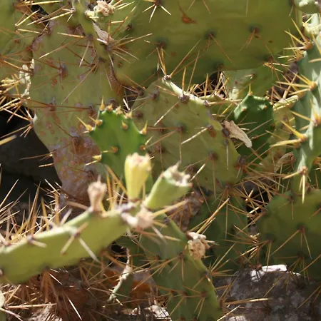 Σπίτι διακοπών Casa *